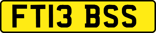 FT13BSS