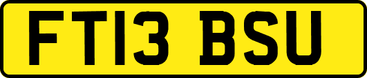 FT13BSU