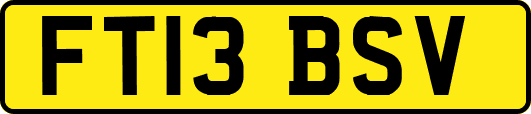 FT13BSV