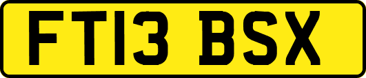 FT13BSX
