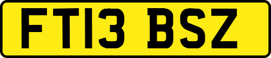 FT13BSZ