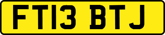 FT13BTJ