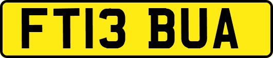 FT13BUA