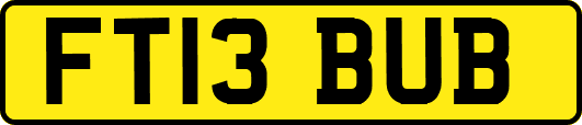 FT13BUB