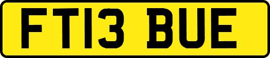FT13BUE
