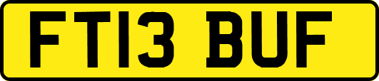 FT13BUF