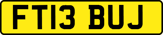 FT13BUJ