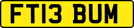 FT13BUM