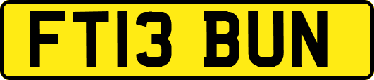 FT13BUN