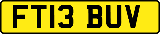 FT13BUV