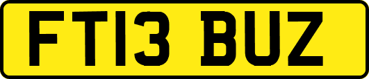 FT13BUZ