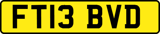 FT13BVD