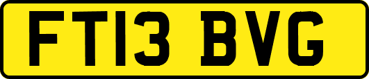 FT13BVG