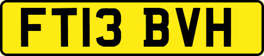 FT13BVH