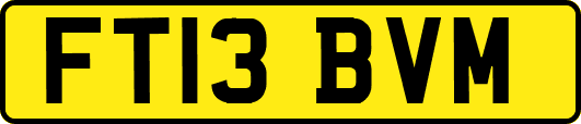 FT13BVM