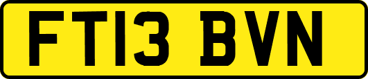 FT13BVN