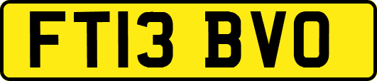FT13BVO