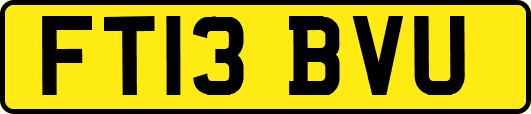 FT13BVU