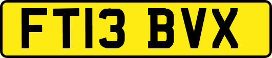 FT13BVX