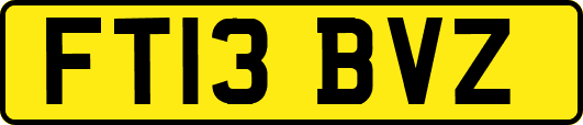 FT13BVZ
