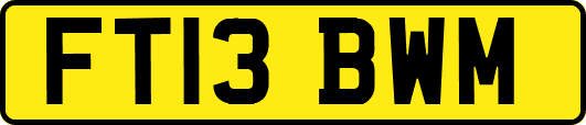 FT13BWM