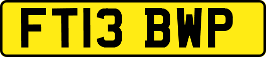 FT13BWP