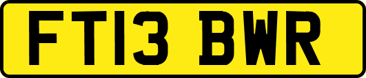 FT13BWR