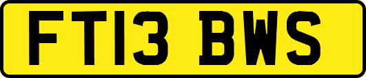 FT13BWS