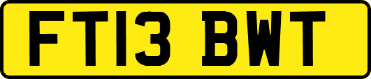 FT13BWT