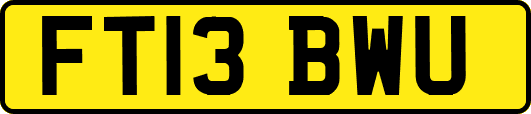 FT13BWU