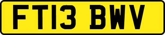 FT13BWV