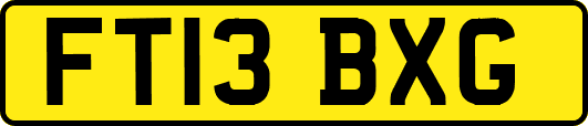 FT13BXG