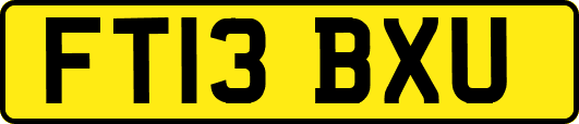 FT13BXU