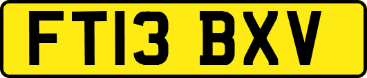 FT13BXV