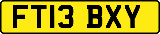 FT13BXY