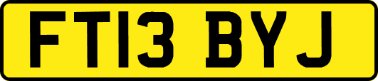 FT13BYJ