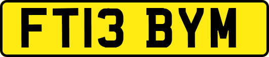 FT13BYM