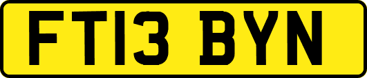 FT13BYN