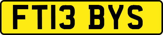FT13BYS