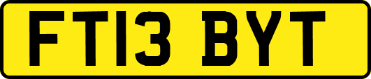 FT13BYT