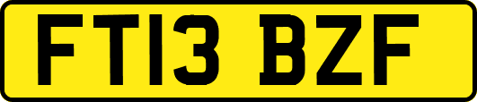 FT13BZF