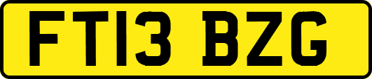 FT13BZG