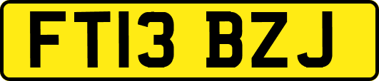 FT13BZJ