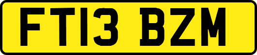 FT13BZM