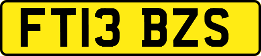 FT13BZS