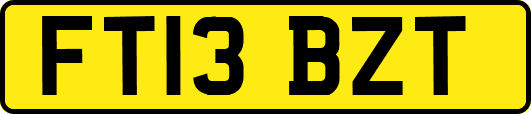 FT13BZT