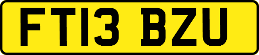 FT13BZU