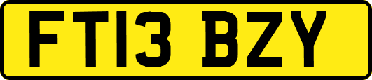 FT13BZY