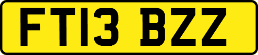 FT13BZZ