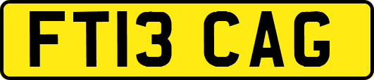 FT13CAG